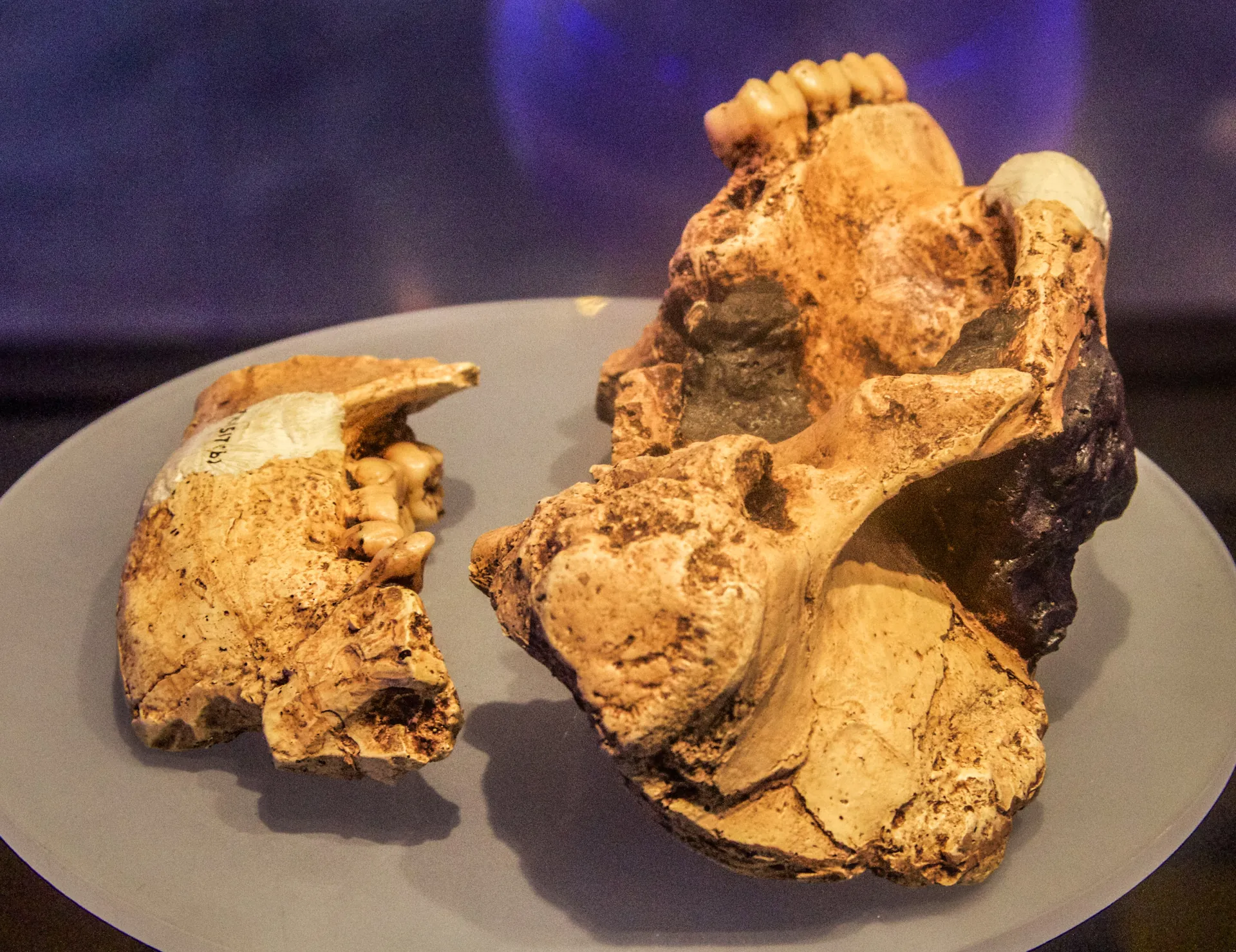 Sterkfontein Caves 67