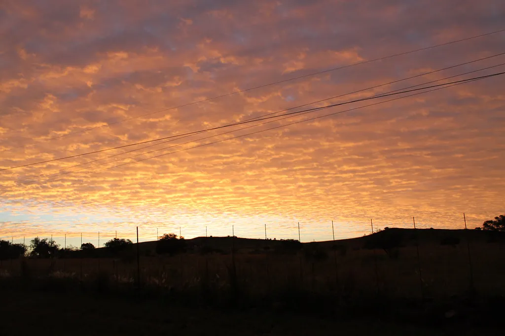 Late afternoon, Cradle of Humankind