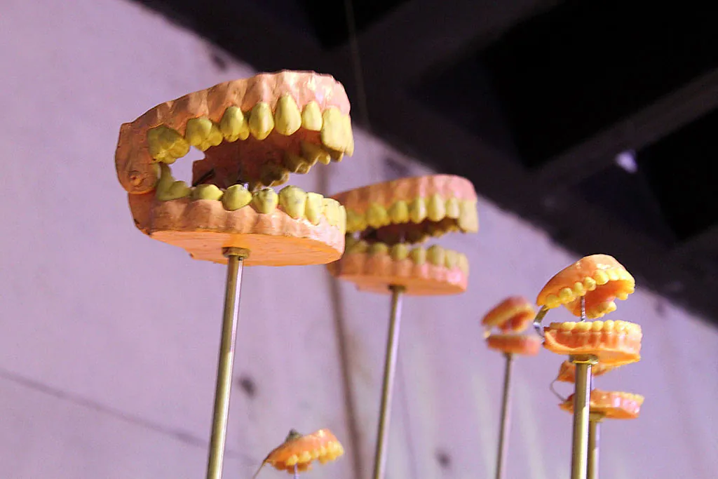 Chattering teeth, Maropeng exhibition, Cradle of Humankind