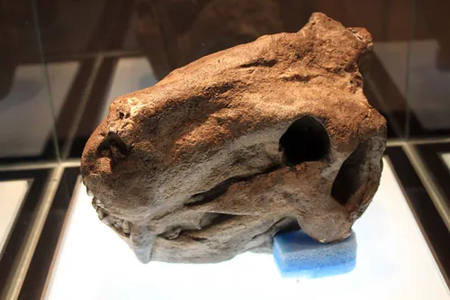Maropeng, Cradle of Humankind