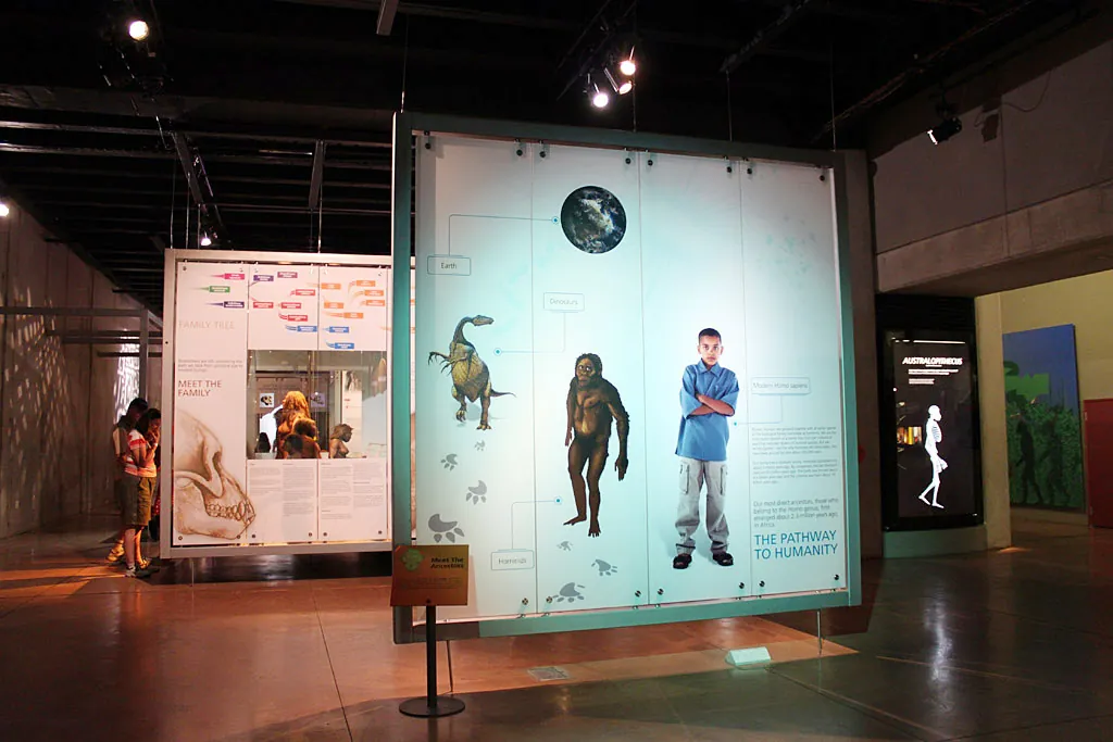 Information on human evolution, Africa, Maropeng exhibition, Cradle of Humankind
