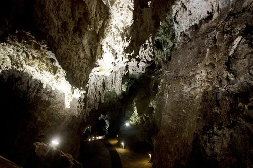 Sterkfontein Caves